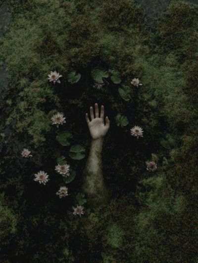 Emerging Hand Among Water Lilies — Fine Art Print. poster