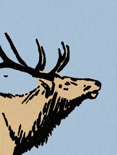 Majestic Elk — Illustration Print. poster