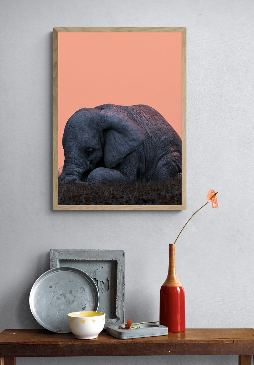 Sleeping Elephant Photography Poster. — room view 3