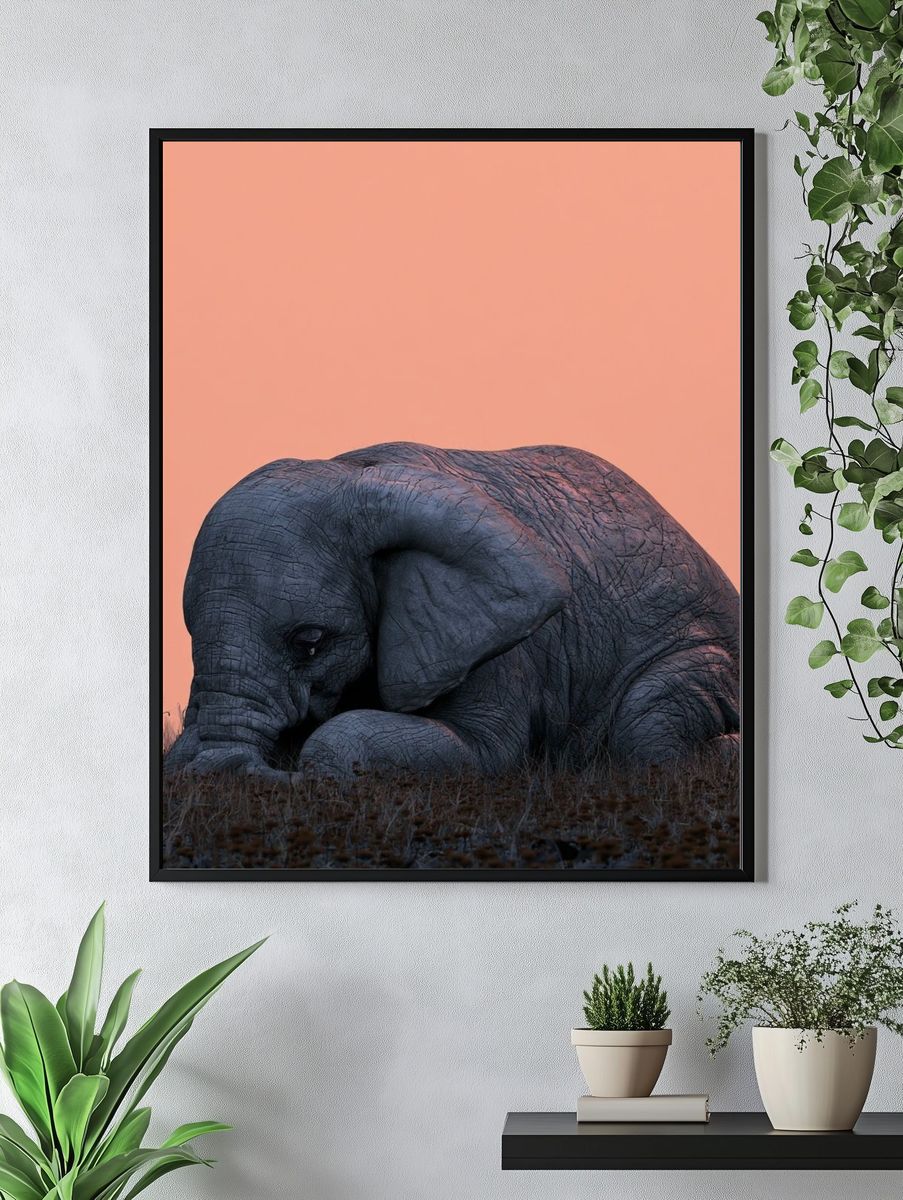 Sleeping Elephant Photography Poster. — room view 4