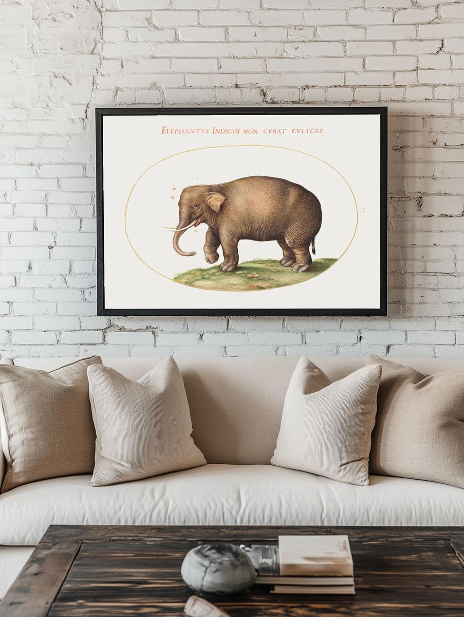 Elephant Insects (1575–1580) painting high. — room view 1