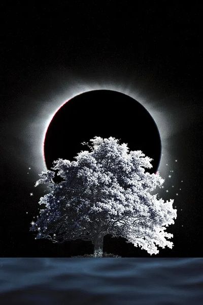 Eclipse Tree — Nature Poster