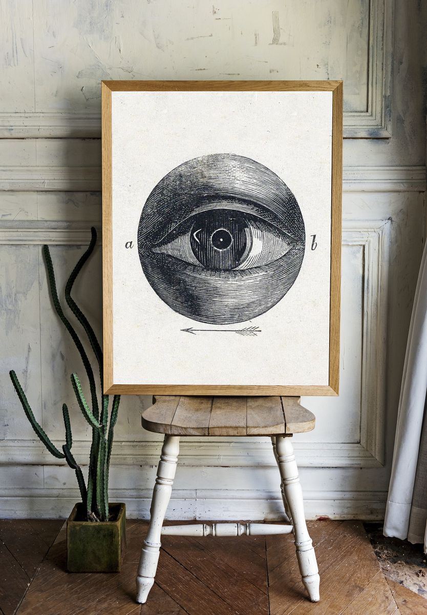 Anatomical Eye Illustration Poster room preview