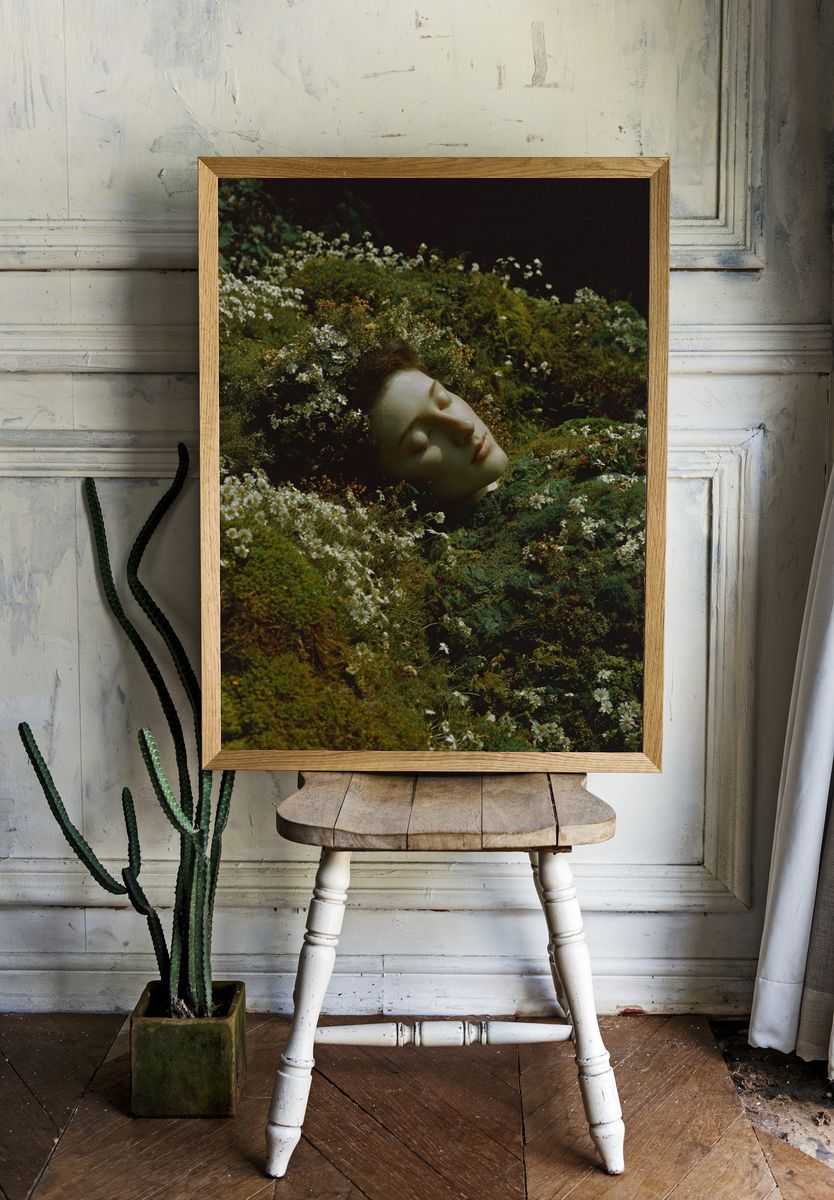 Sleeping Beauty in Bloom — Fine Art Print room preview