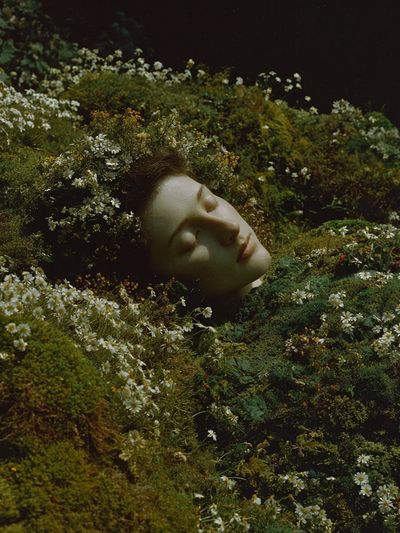 Sleeping Beauty in Bloom — Fine Art Print. poster print