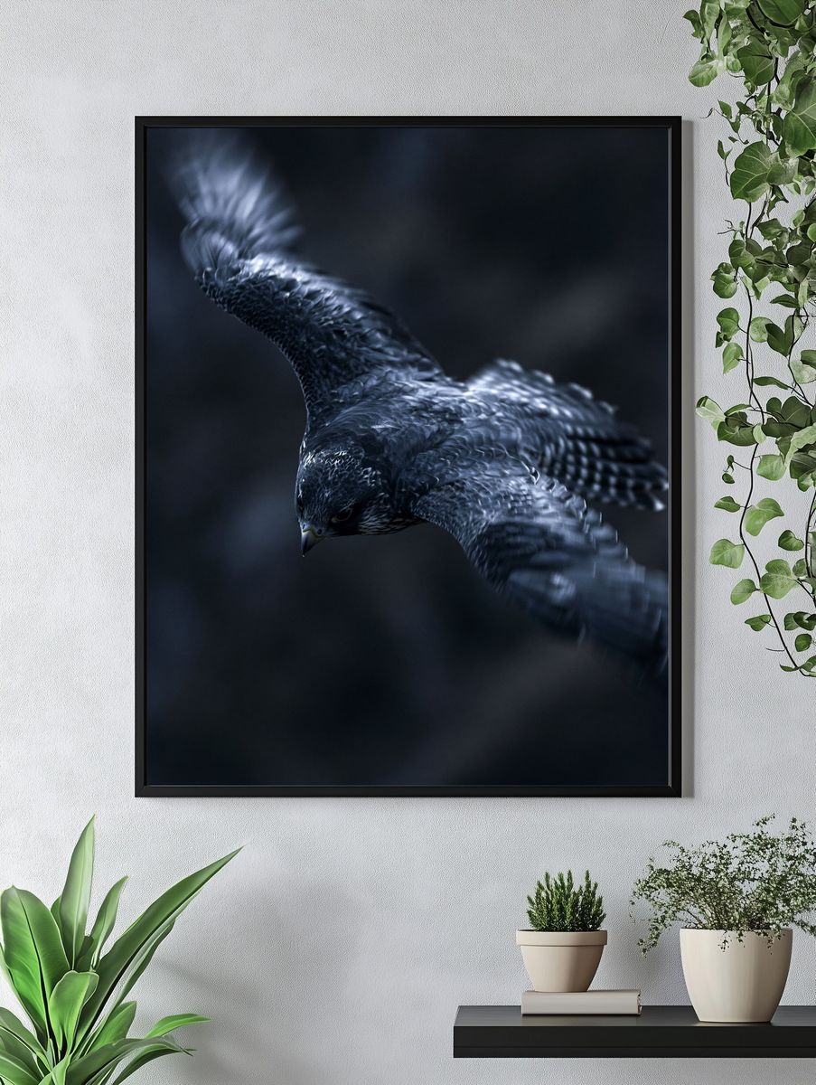 Falcon in Flight Photography Poster. — room view 4