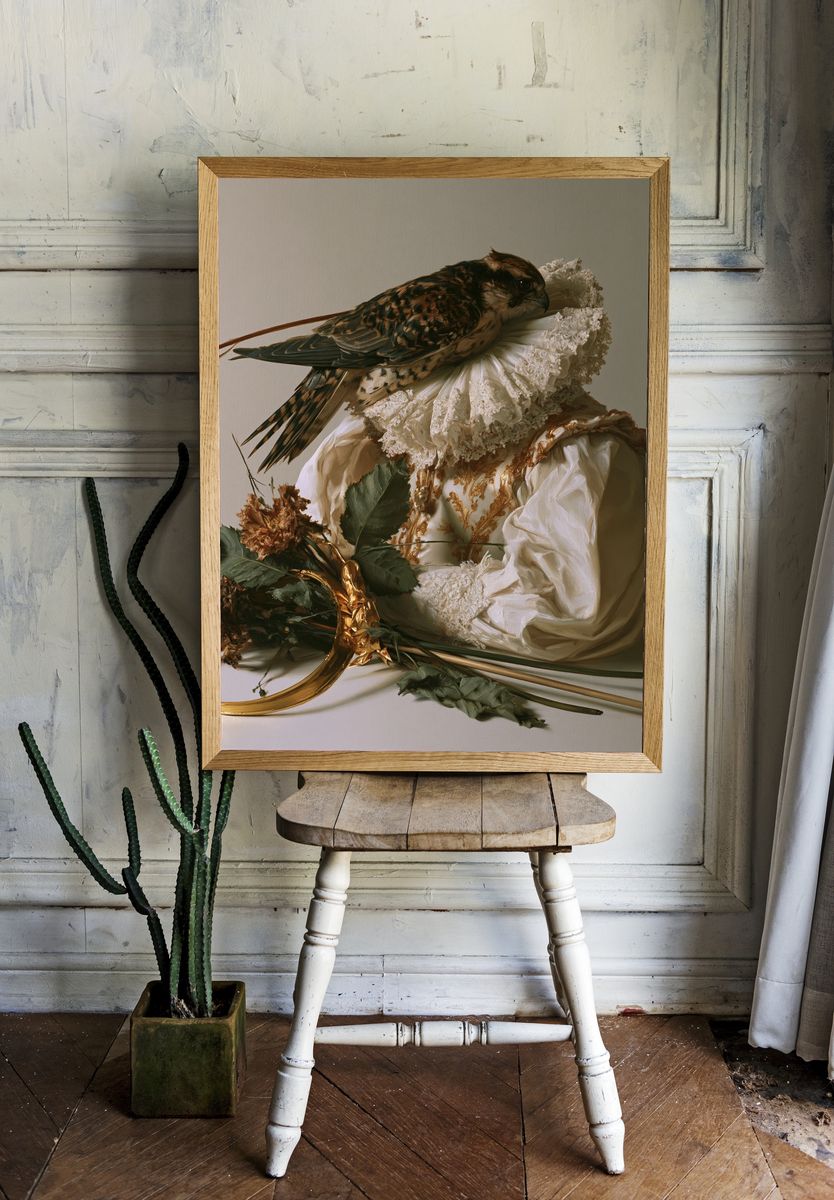 Still Life Falcon Portrait Print. — room view 1