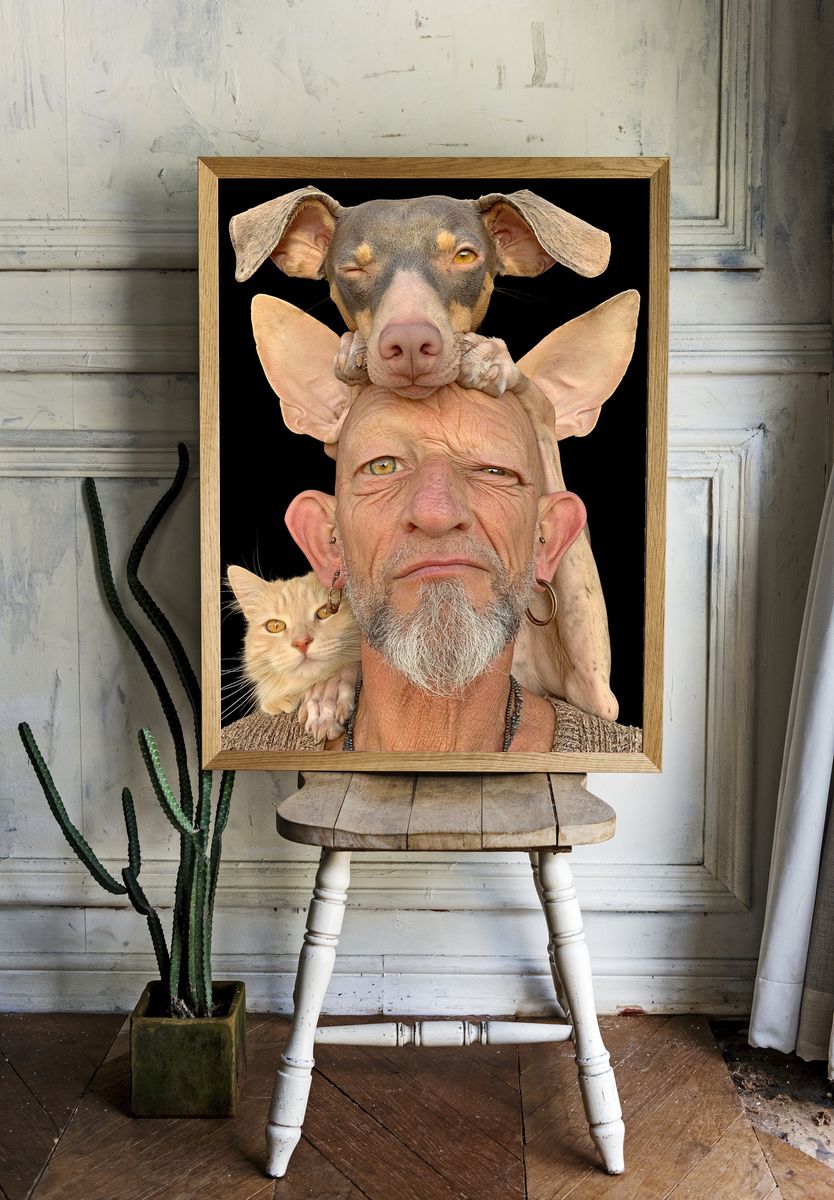 Surreal Pet Portrait Print. room preview