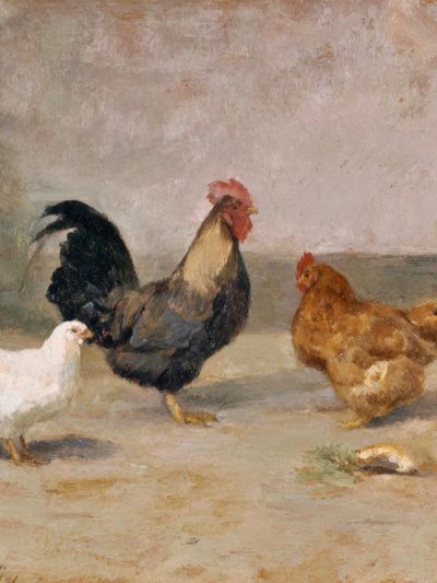 Farmyard Chickens Painting Poster. poster