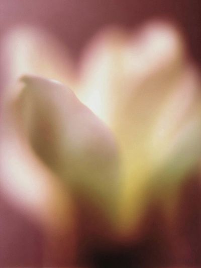 Artist's Studio — Fine Art Print. poster
