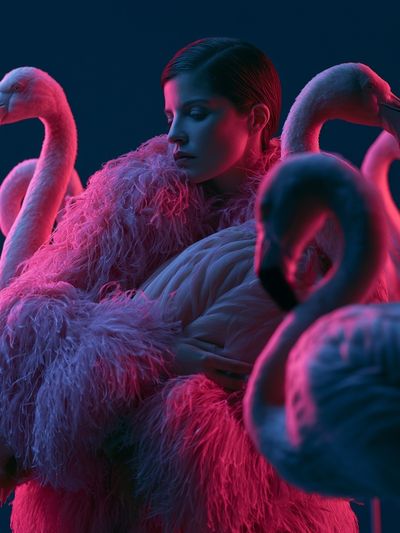 Neon Flamingo Portrait Print. poster print