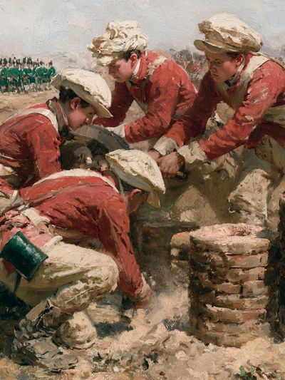 Napoleonic Soldiers