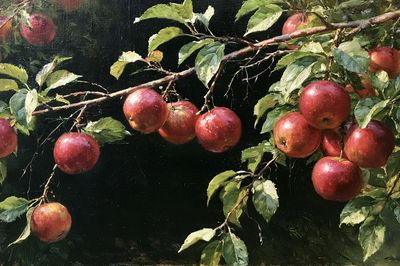 Apple Branch Still Life Print. poster