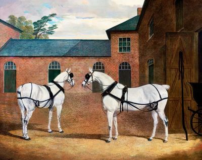 Two White Horses — Fine Art Print. poster