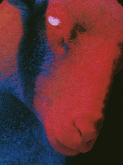 Abstract Neon Face Poster.