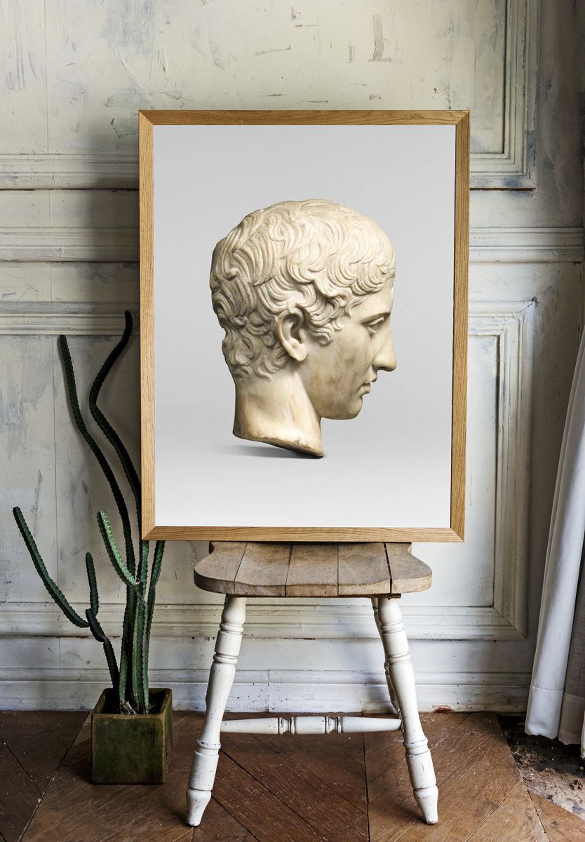 Classical Sculpture Head — Fine Art Print room preview