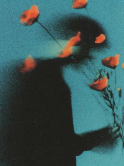 Silhouette with Flowers — Fine Art Print. poster print