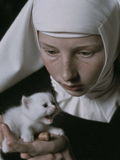 Nun and Kitten Portrait Print. poster