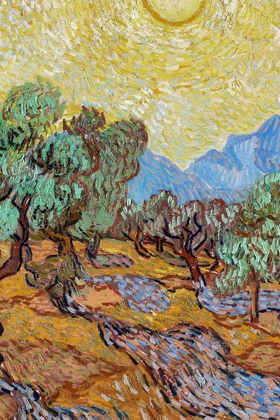 Olive Trees with Yellow Sky — Fine Art Print. poster