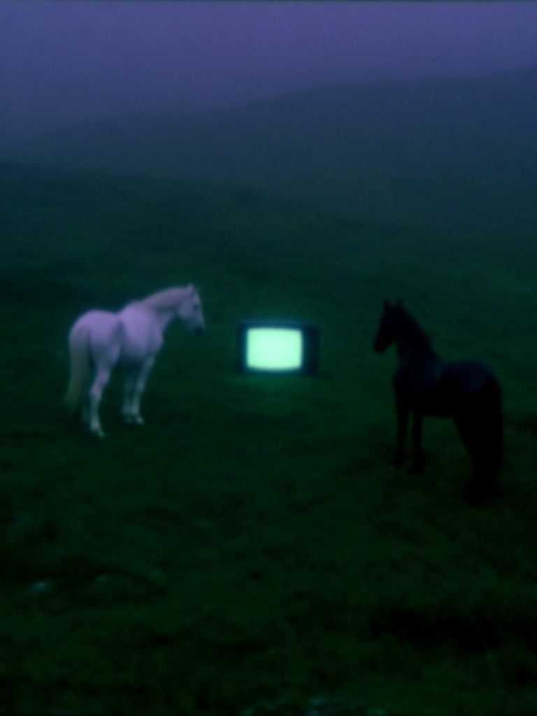 Surreal Horses and TV — Fine Art Print. poster detail
