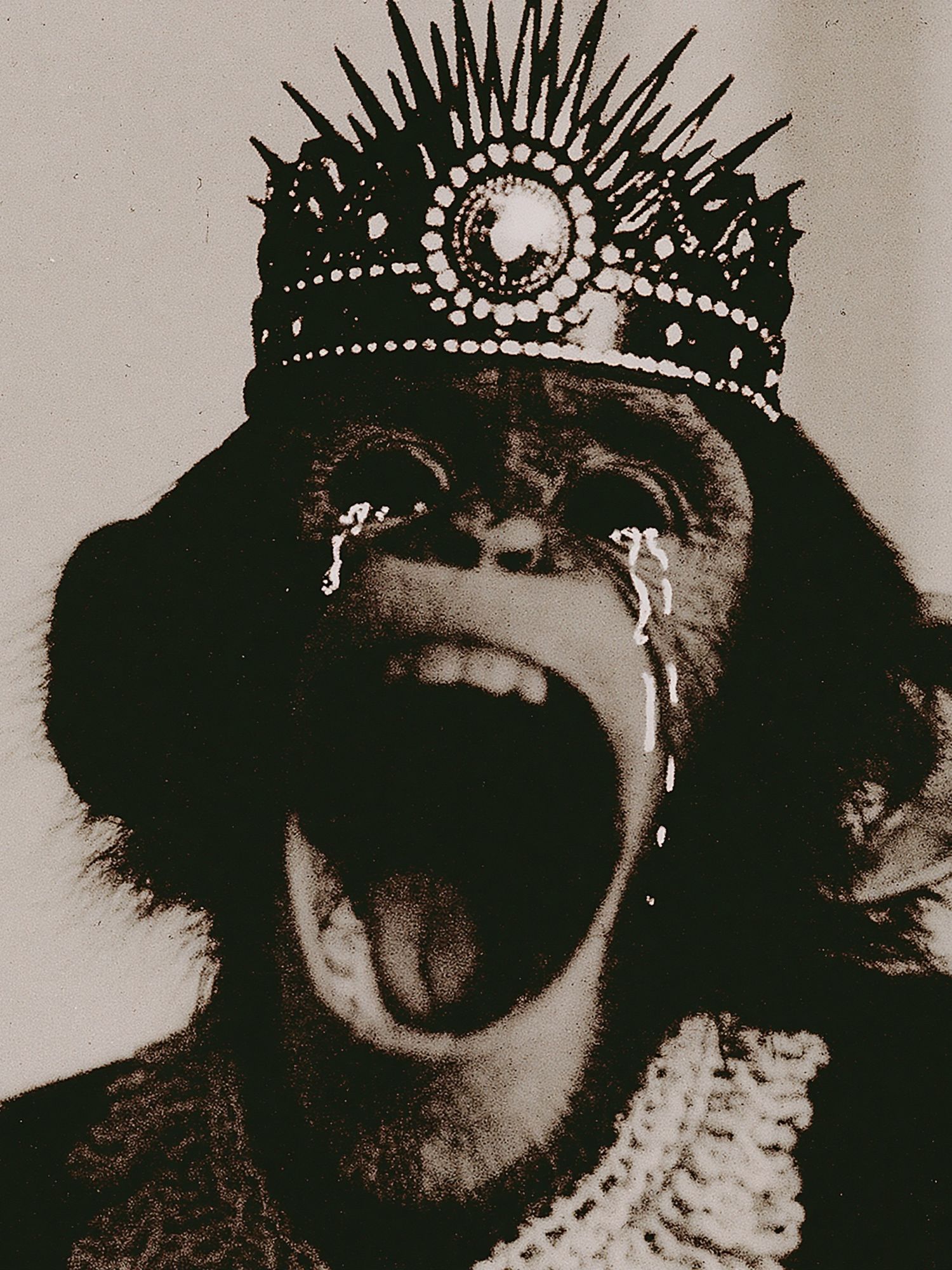 Crying Monkey Crown Poster. poster — fine-art art