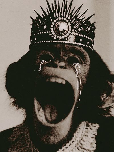 Crying Monkey Crown Poster. poster