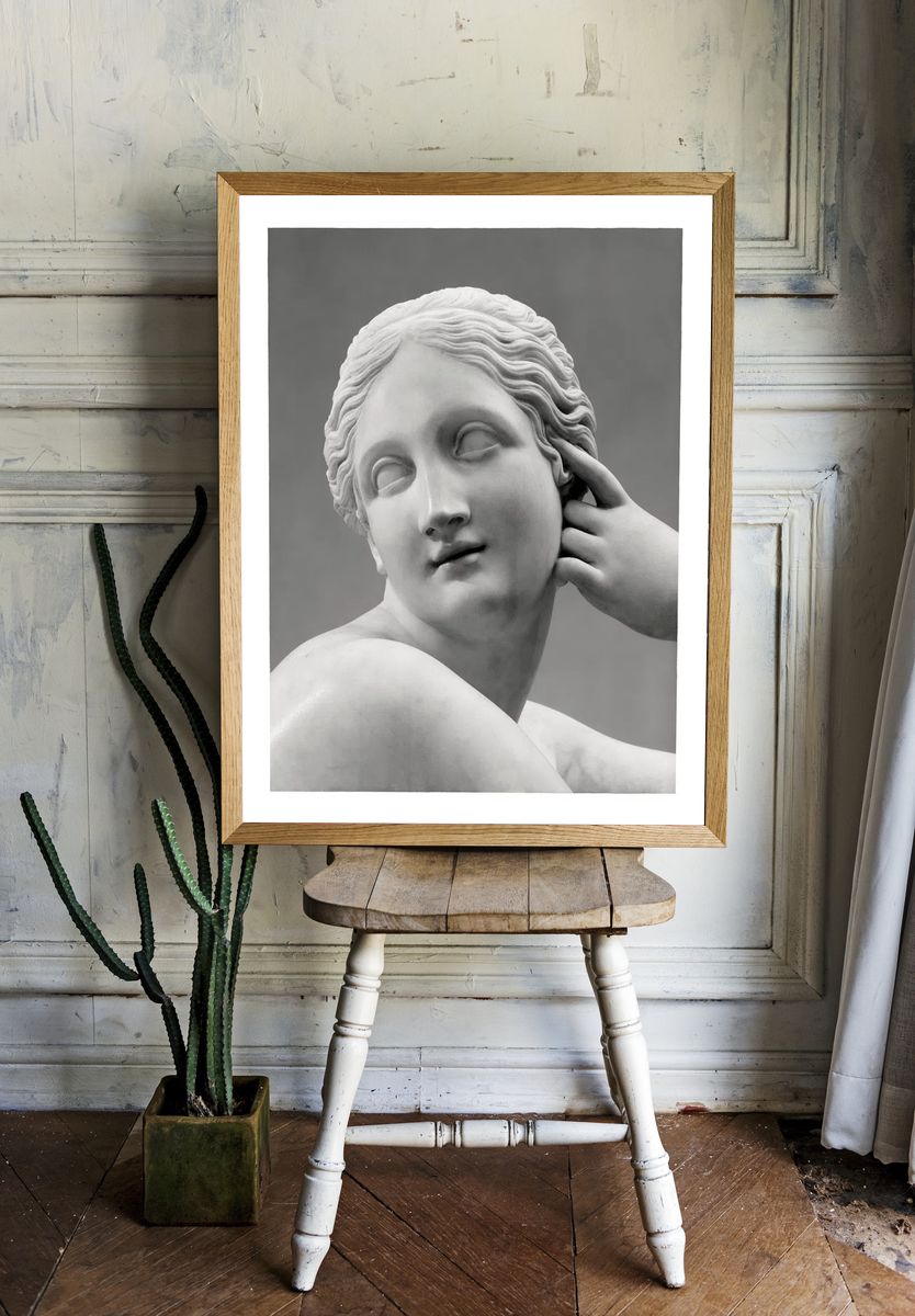 Marble Sculpture Portrait — Fine Art Print. — room view 1