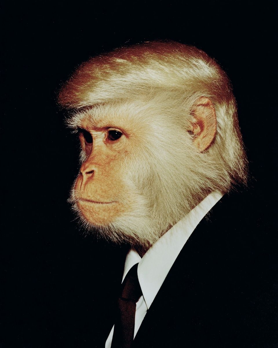 Monkey in Suit — Funny Print.