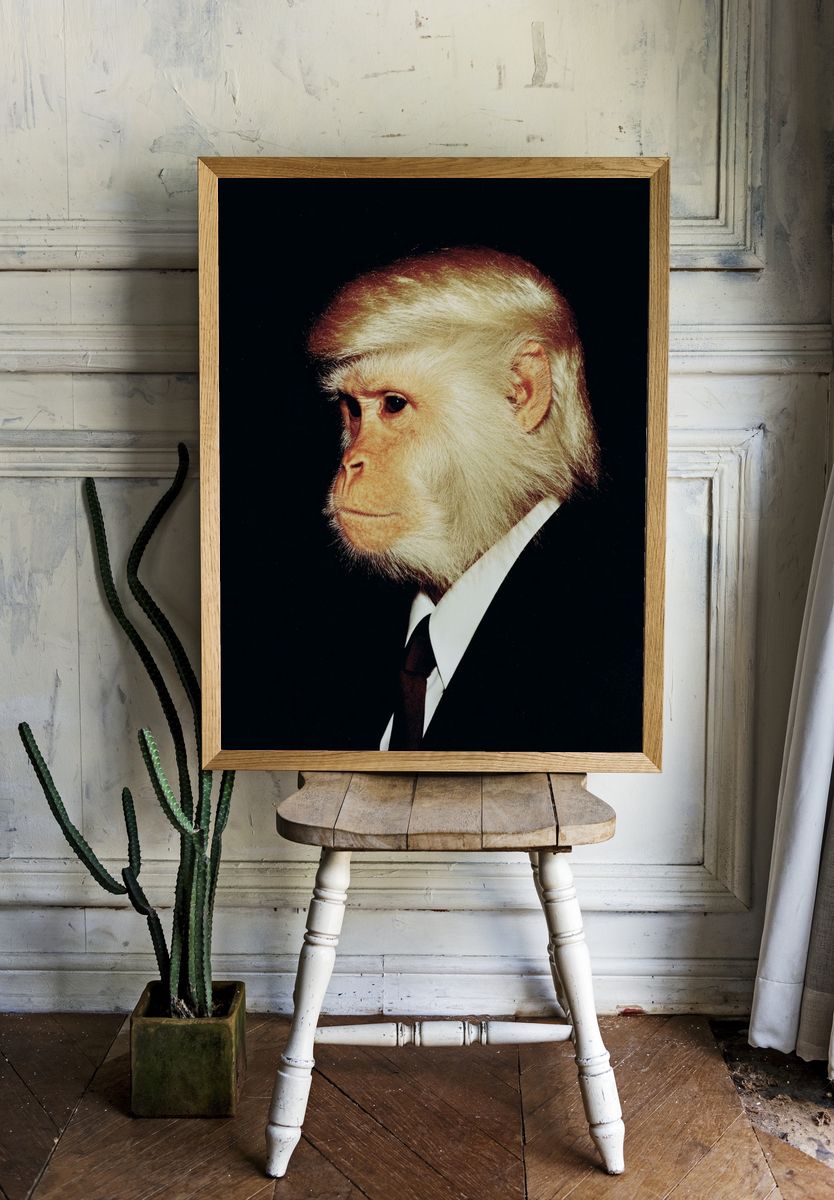 Monkey in Suit — Funny Print. — room view 1