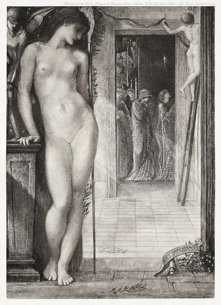 Venus Epithalamium — Fine Art Print. poster — fine-art art