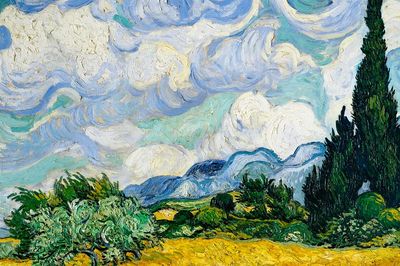 Cypress Trees and Sky — Fine Art Print. poster