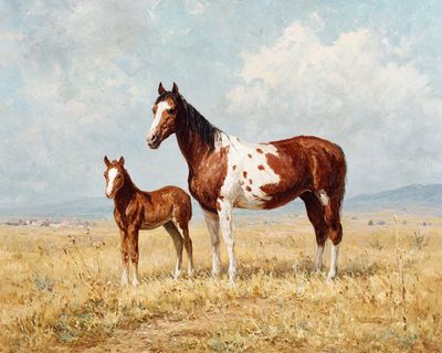 Painted Horses in Meadow Poster. poster