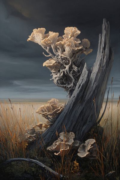 Mushroom Growth on Driftwood — Fine Art Print. poster
