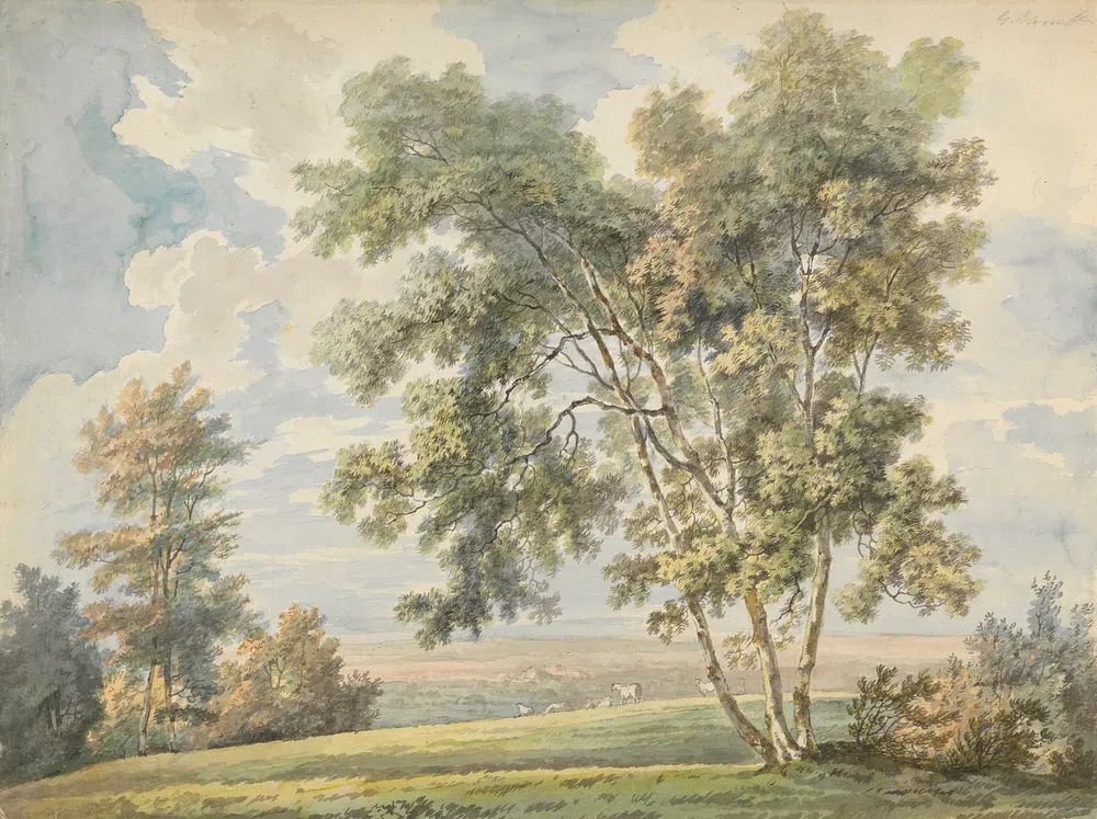 Landscape with Trees and Sheep (Park Landscape with Sheep). poster — fine-art art