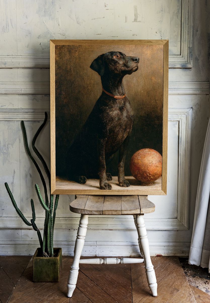 Black Dog Still Life Poster. room preview