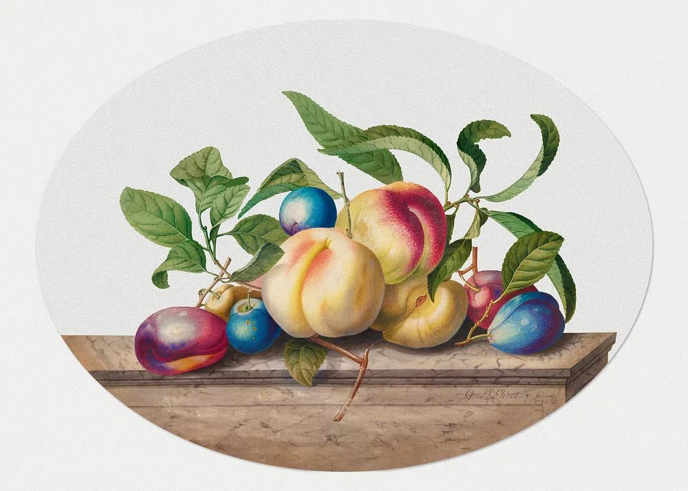 Fruit Arrangement: Peaches Plums Slab. poster detail