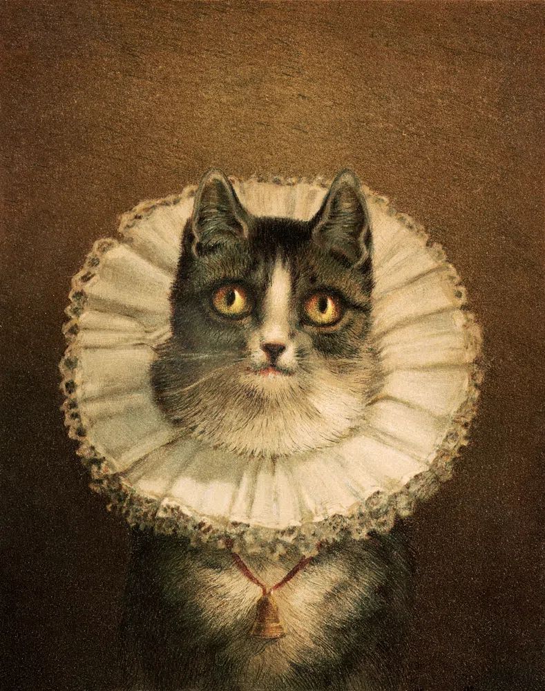 widow (1861–1897), vintage cat portrait. poster — fine-art art
