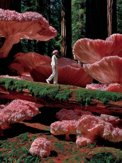 Surreal Mushroom Forest — Fine Art Print. poster print