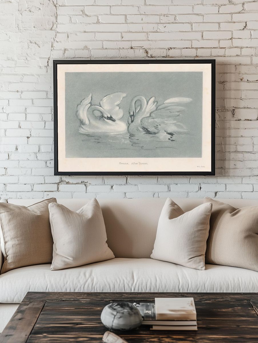 Swans — Fine Art Print room preview