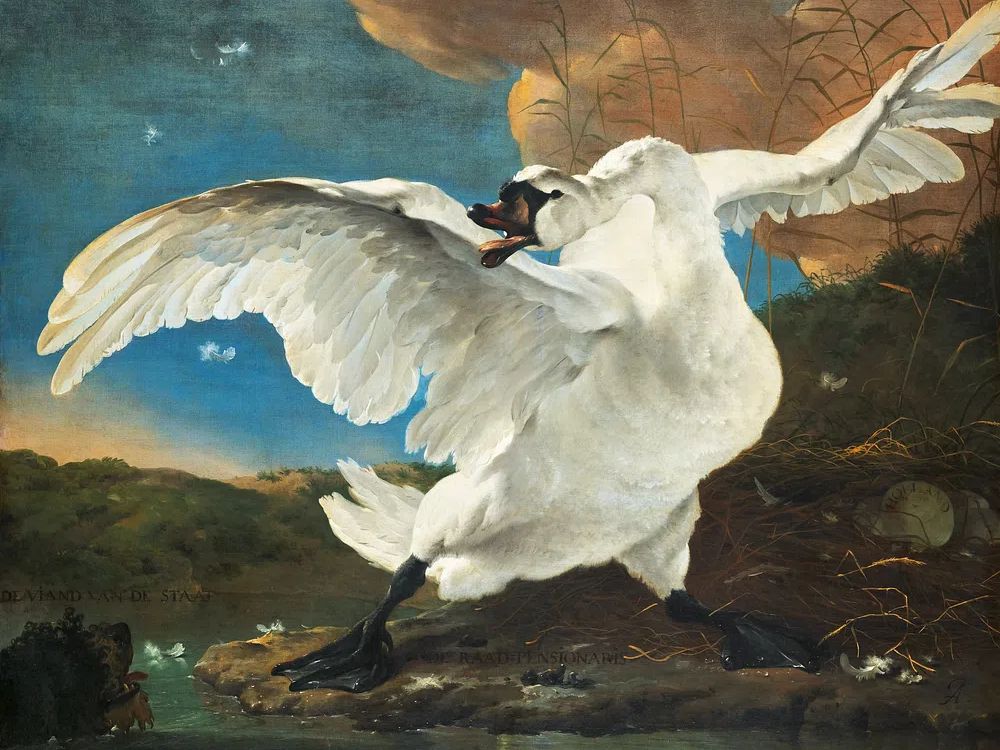 Majestic Swan — Fine Art Print. poster detail