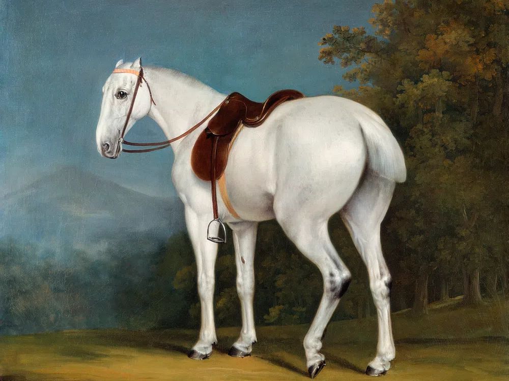 Lady's Grey Hunter (ca. 1806). poster detail