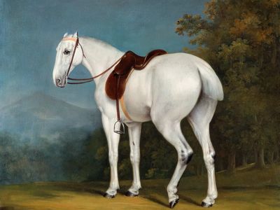 Lady's Grey Hunter (ca. 1806). poster