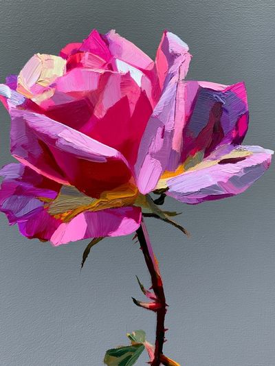 Pink Rose Fine-Art Print. poster