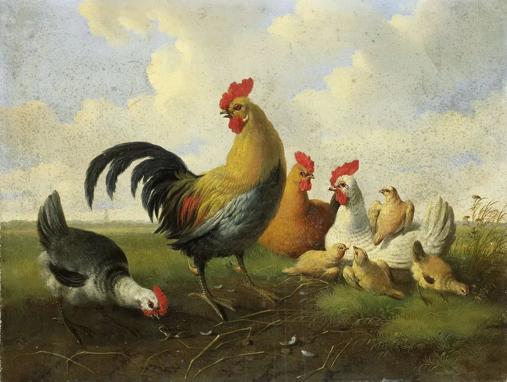 Farmyard Chickens — Fine-Art Print. poster — fine-art art