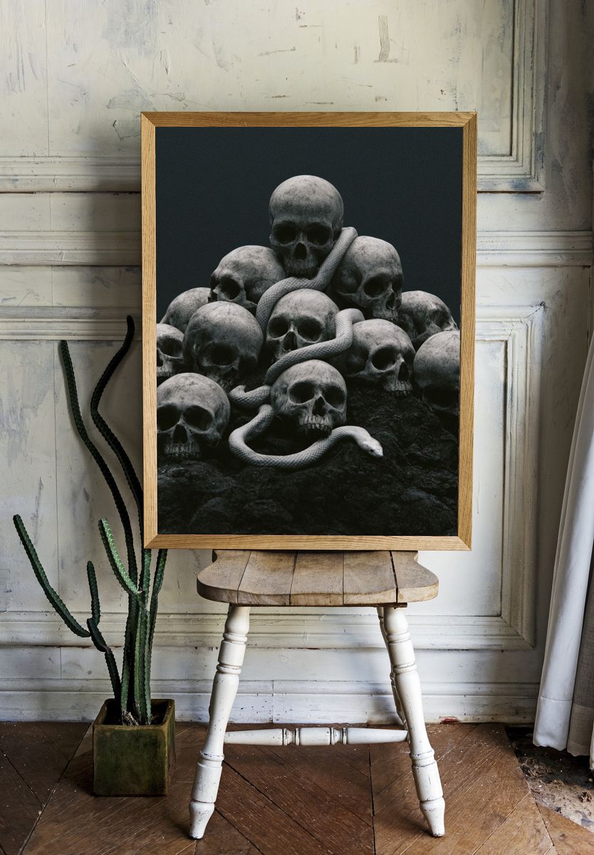 Skull Serpent Dark Print. — room view 1