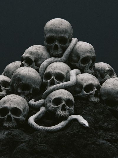 Skull Serpent Dark Print. poster