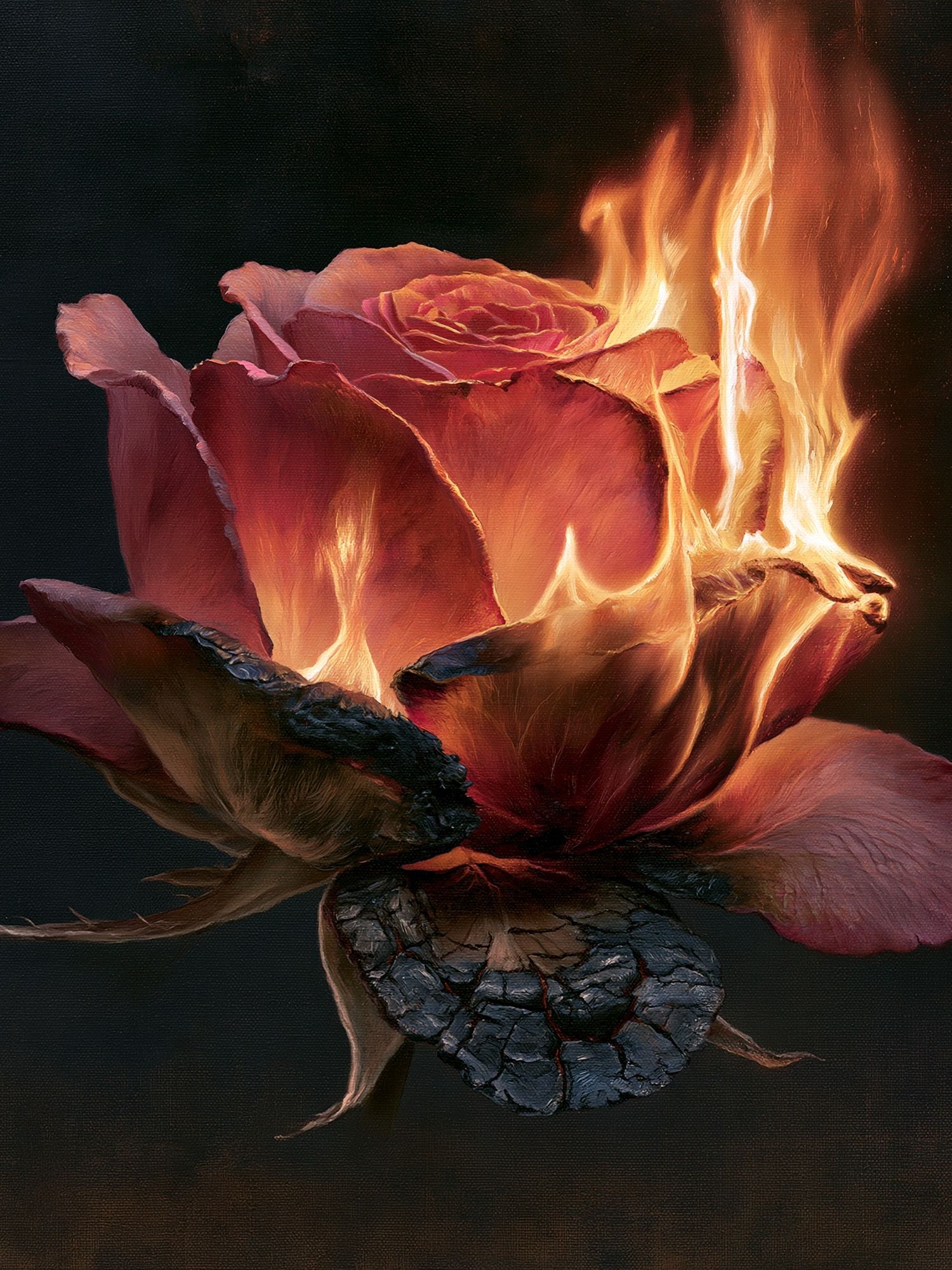 Burning Rose Fine-Art Print. poster — fine-art art