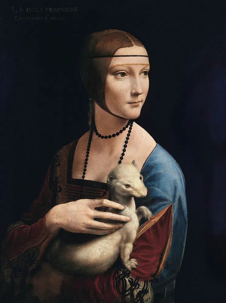 Leonardo da Vinci 's Lady. poster detail