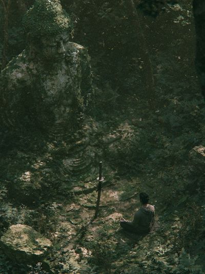 Forest Meditation — Fine-Art Print. poster