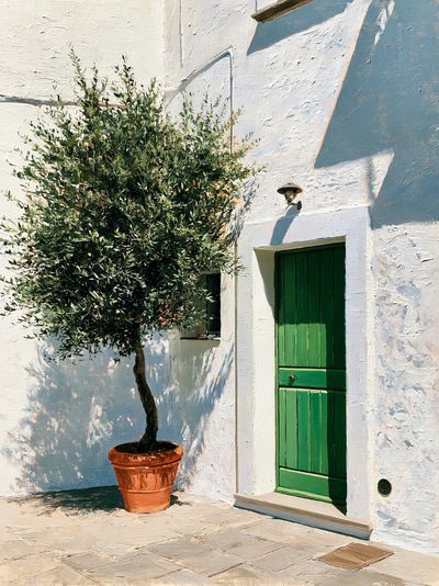 Mediterranean Courtyard Olive Tree Print. poster